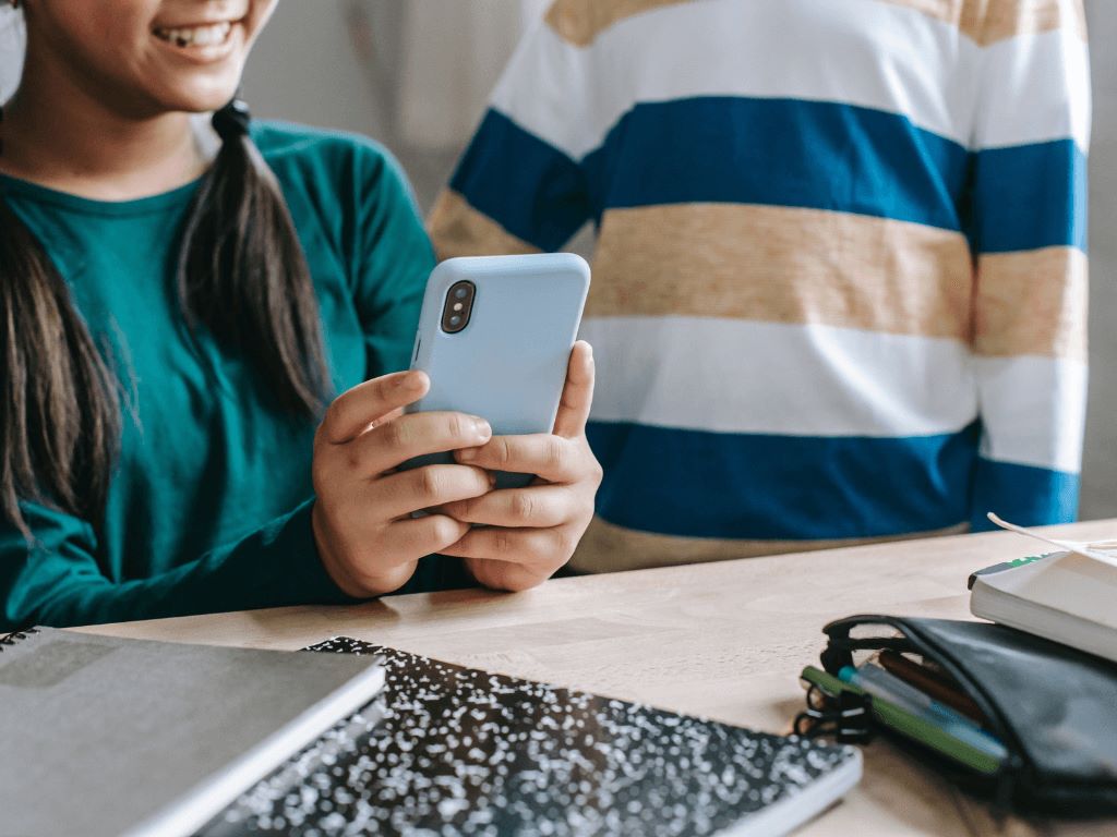 Digital Literacy in the field of Education